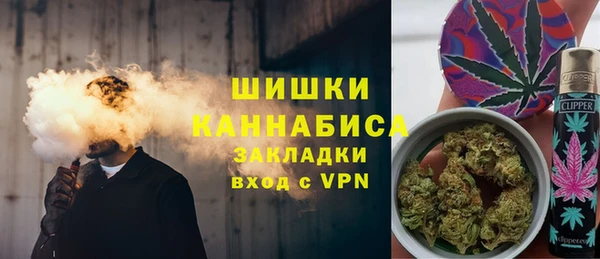 гидра Покачи
