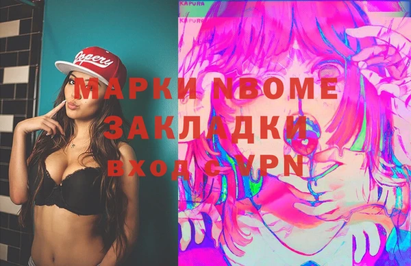 гидра Покачи
