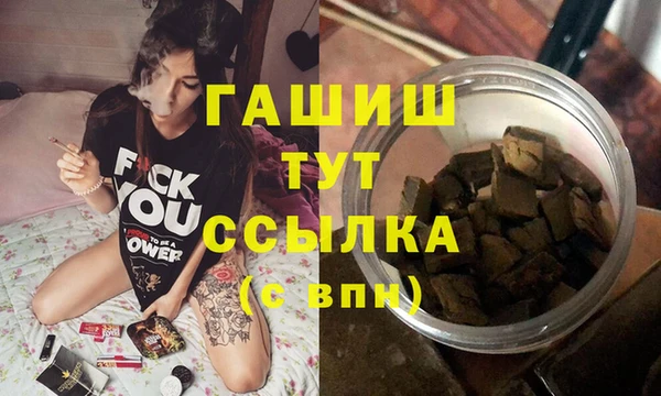 гидра Покачи
