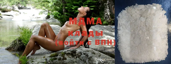 гидра Покачи