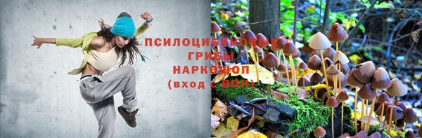 скорость Протвино