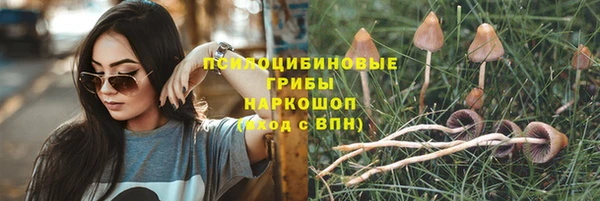 ПСИЛОЦИБИНОВЫЕ ГРИБЫ Пролетарск