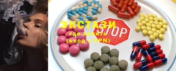гидра Покачи