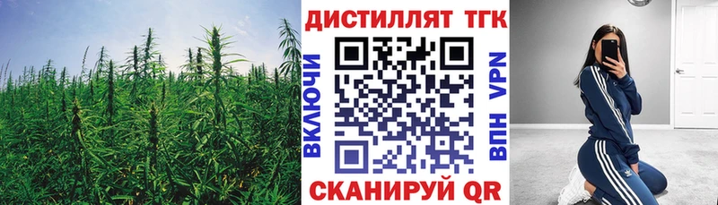 KRAKEN ТОР  магазин  наркотиков  Кинешма  ТГК THC oil 