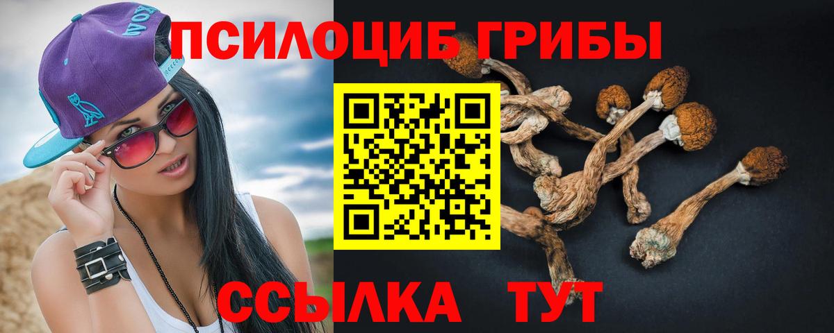 Псилоцибиновые грибы Psilocybine cubensis  Вход с VPN  Кинешма 