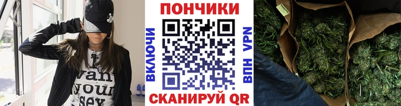 где найти   Кинешма  Конопля сатива 